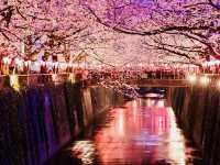 Unwind and unleash your senses with a serene stroll through Tokyo