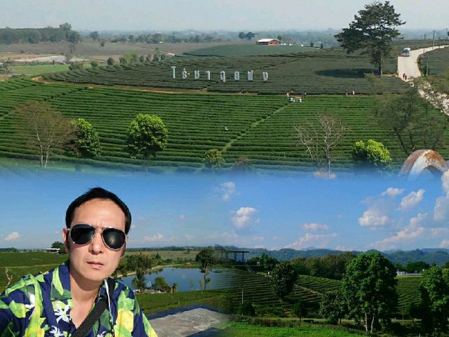 ทริป 1 วัน.. 7 จุดเช็คอิน@เชียงราย 
