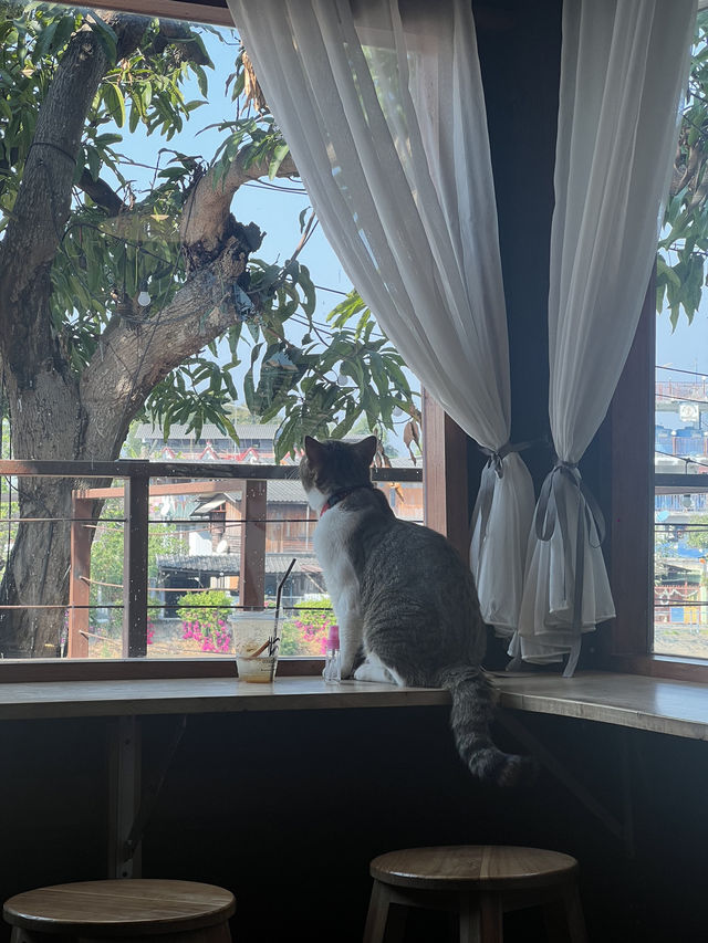 Wooden house cafe