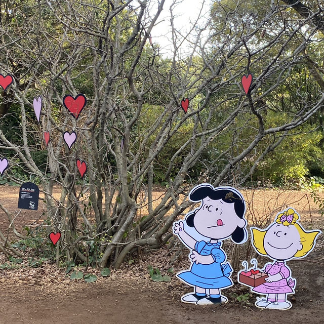 아이들도 좋아 할 제주도 동쪽 코스 추천 ▪스누피가든