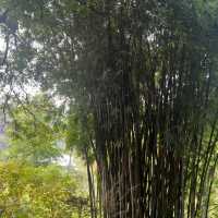 雲溪生態公園•好山好水