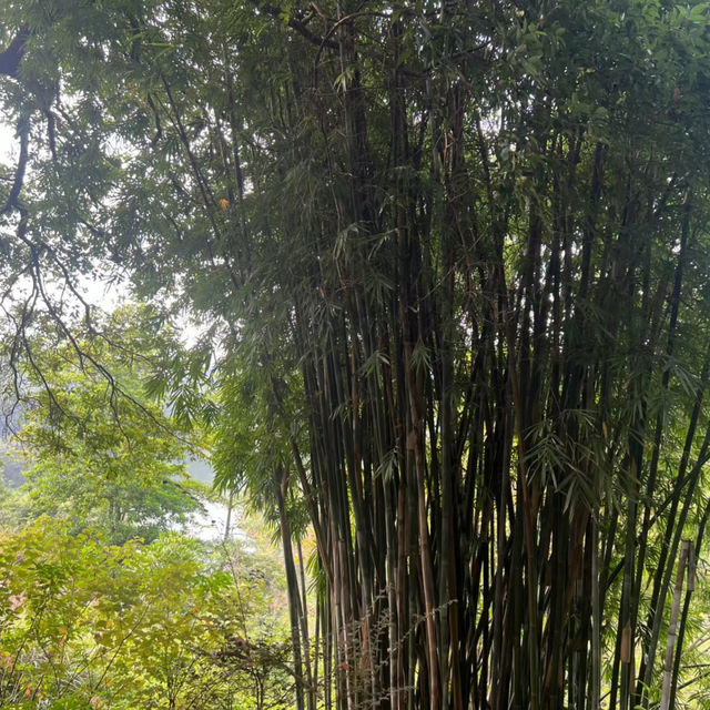 雲溪生態公園•好山好水