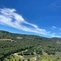แนะนำจุดชมทุ่งลาเวนเดอร์ ใน Provence ฝรั่งเศส