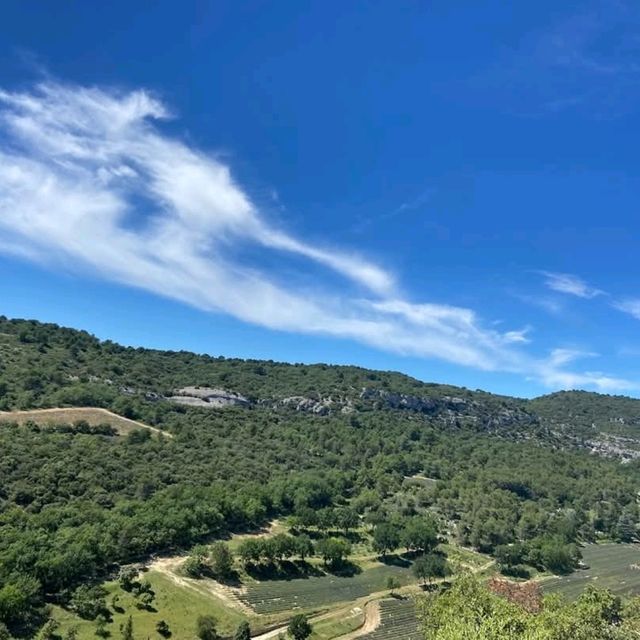 แนะนำจุดชมทุ่งลาเวนเดอร์ ใน Provence ฝรั่งเศส