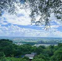 金面山親山步道🌿與青山綠水共舞