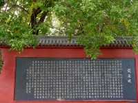 Longquan Temple: A Revived Ancient Treasure