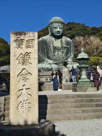 參拜日本第二高的佛像