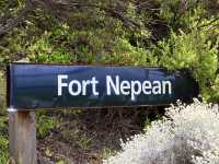 兩種海洋的奇蹟：探秘墨爾本的Point Nepean National Park 🌊🏖️