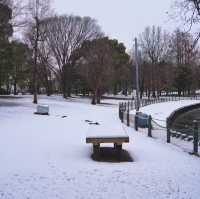 文來公園：冰雪童話世界 ❄️🏞️