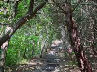 蒜山の魅力