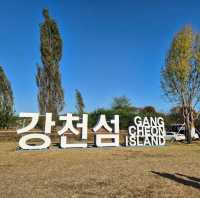 은행나무길이 멋있는 여주 강천섬