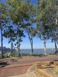Kings Park Adventure: Nature, Views & Culture