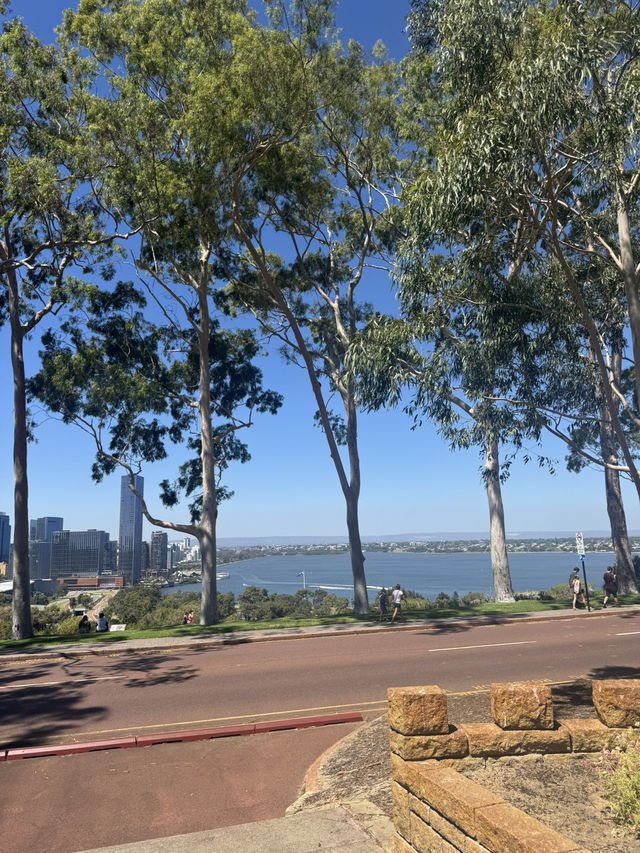 Kings Park Adventure: Nature, Views & Culture