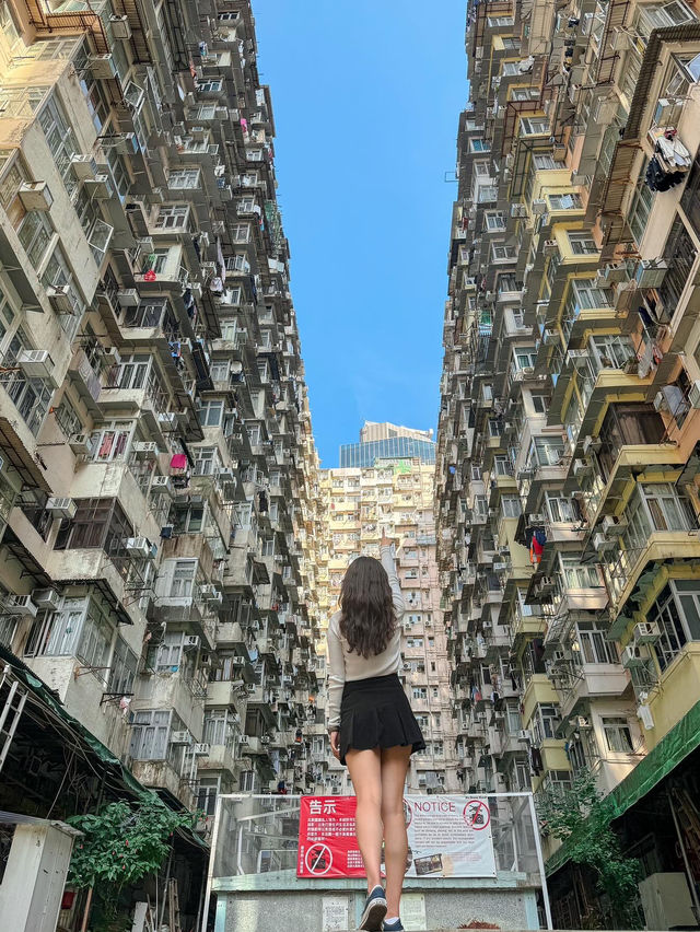 🇭🇰색감맛집 홍콩의 알록달록 포토존 추천