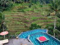 The lush landscapes and stunning rice terraces
