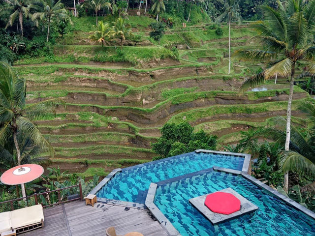 The lush landscapes and stunning rice terraces