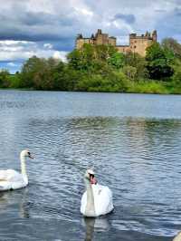 A Day of Elegance and History: Blackness Castle and Linlithgow