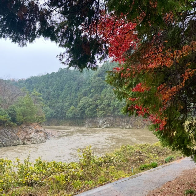 回遊式庭園 - 虎溪山永保寺