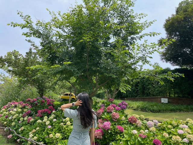 한국판 네덜란드🌷💐