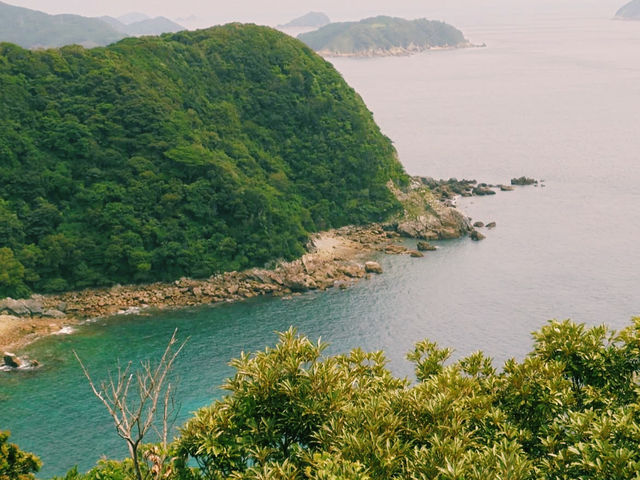 どこまでも広がる海！癒しの展望台⛅️