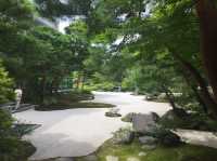 【島根🇯🇵足立美術館】