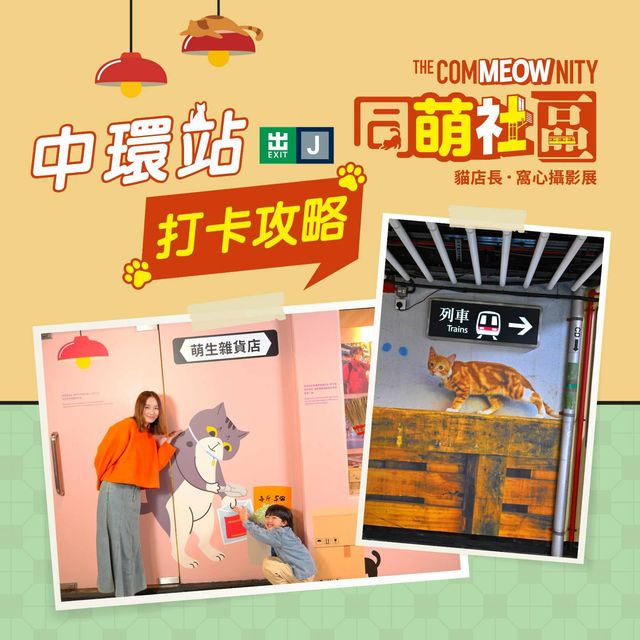 🇭🇰中環站《同萌社區》貓店長🐱攝影展📷打卡攻略