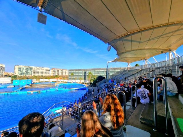 多麼神奇的水族館