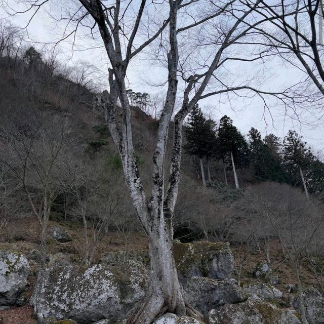 Akiu Onsen (秋保温泉)