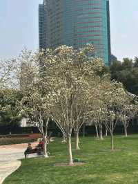 Lujiazui Central Greenland แห่งเมืองเซี่ยงไฮ้