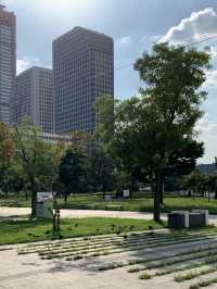 汝矣島漢江公園：城市綠洲的溫暖時光🌳 ✨