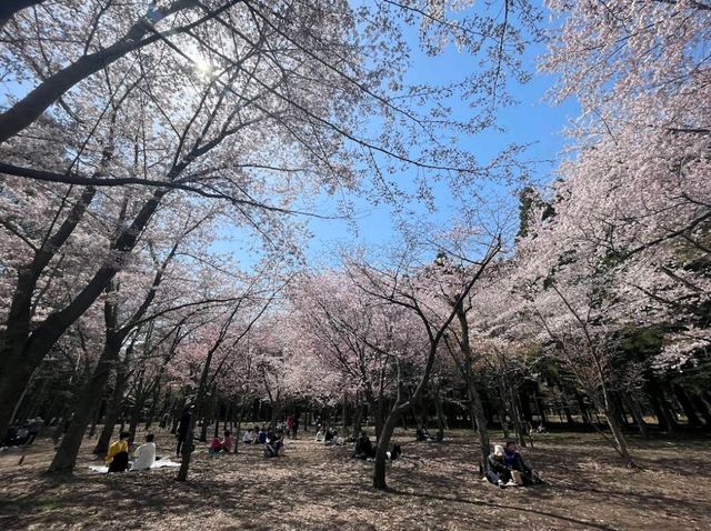 Maruyama Park