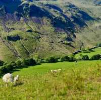 英國湖區國家公園(Lake District National Park) ～登山篇