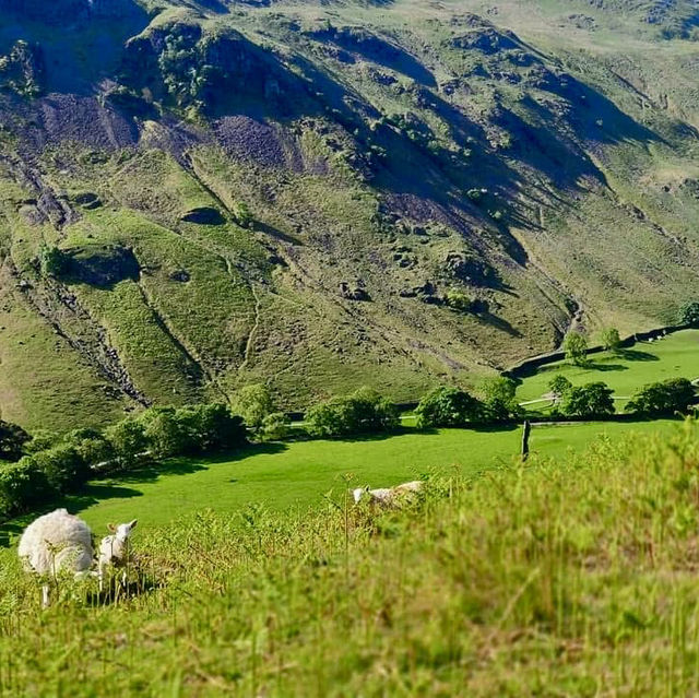 英國湖區國家公園(Lake District National Park) ～登山篇