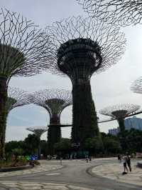 Gardens by the Bay 🌳สวนสุดอลังการในสิงคโปร์
