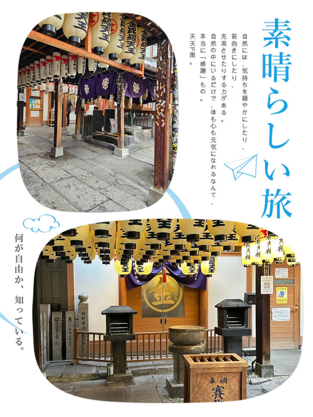 百年青苔佛像係咩料😂