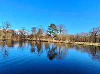 Dunham Massey