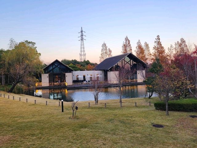 海を眺めながら贅沢ステイ！ヒルトン小田原の魅力