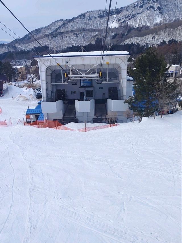 2025.03.12藏王樹冰之旅