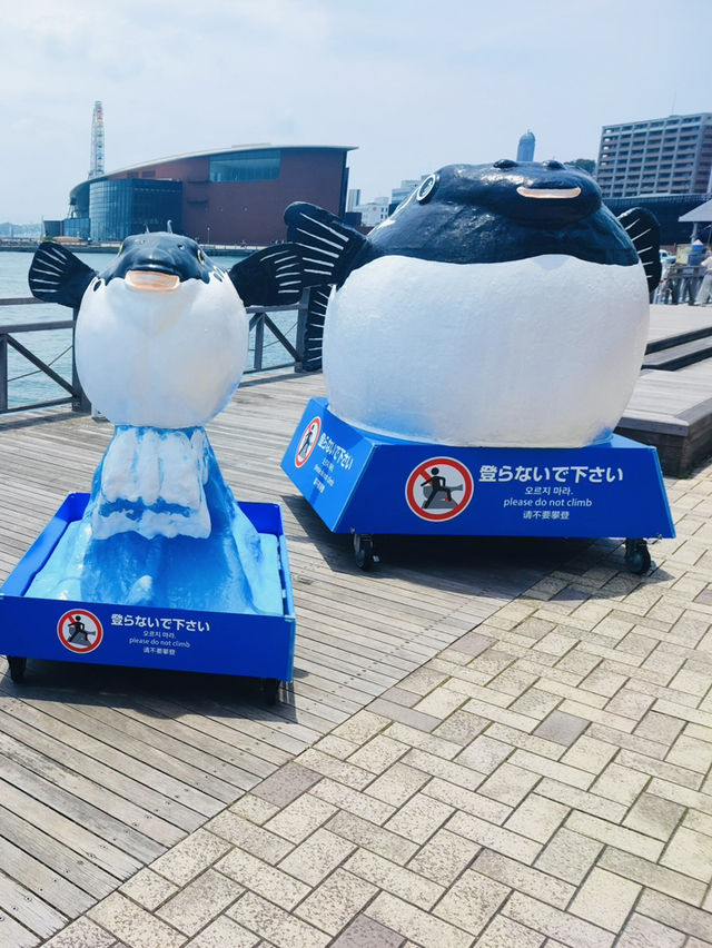 福岡｜唐戶市場一日遊｜美食與文化的饗宴