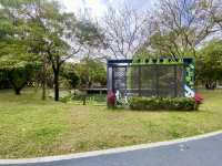 深圳清新自然美地✨四海公園 🌸🌿