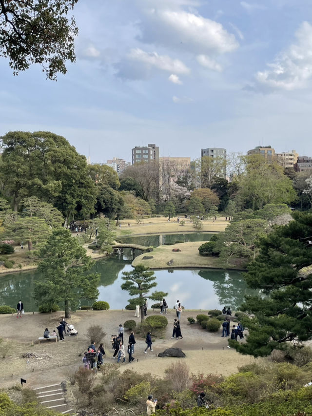 🌸東京/六義園で感じる四季の絶景🌳
