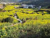 The Golden Tapestry of Southern China