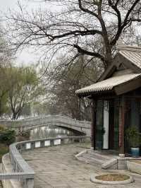 南京 玄武湖景區 情侶園 🌱 🪻