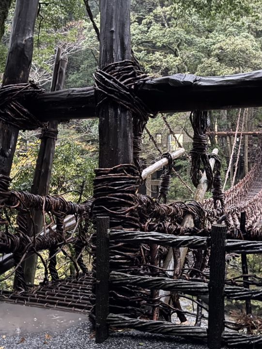 祖谷の蔓橋で感じたスリルと絶景