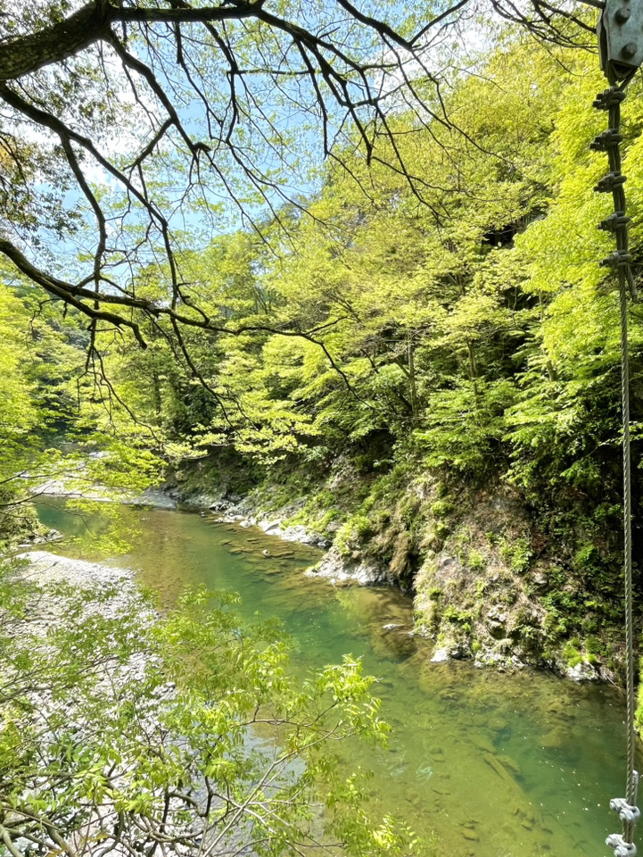 東京×奥多摩】青もみじと新緑の絶景と川のせせらぎ | Trip.com 奥多摩