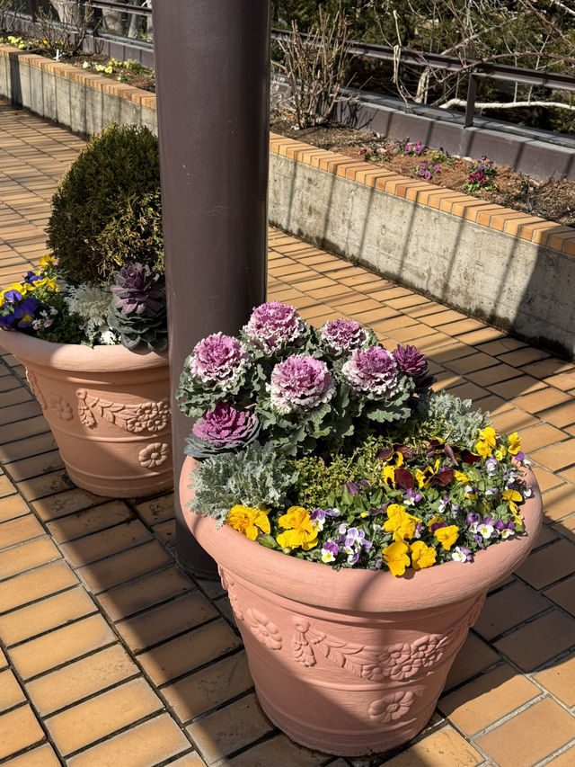 一気に華やかに