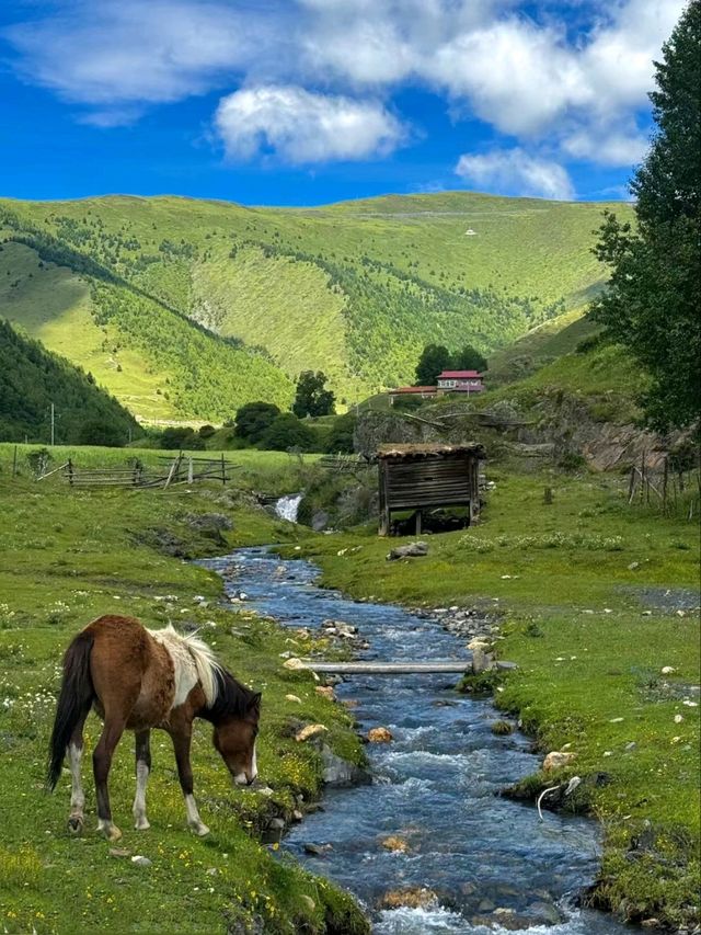 Chuanxi: Where Tibetan Culture and Nature Meet in Harmony