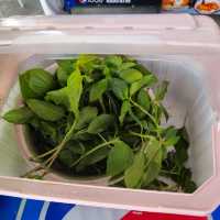 ก๋วยเตี๋ยวเรือทองผกา สาขาโคกกลอย