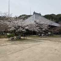 【山口県下関市長府🇯🇵功山寺】見どころたくさん☺️長府巡り
