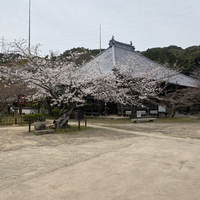 【山口県下関市長府🇯🇵功山寺】見どころたくさん☺️長府巡り